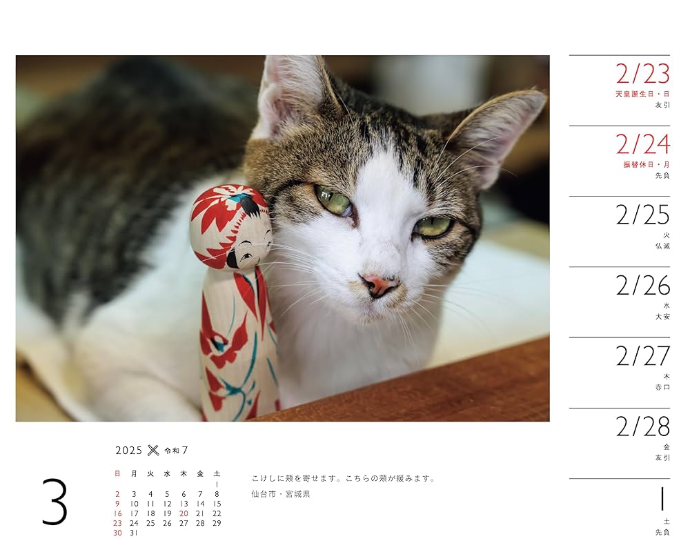 カレンダー2025 岩合光昭×ねこ（週めくり/卓上・リング